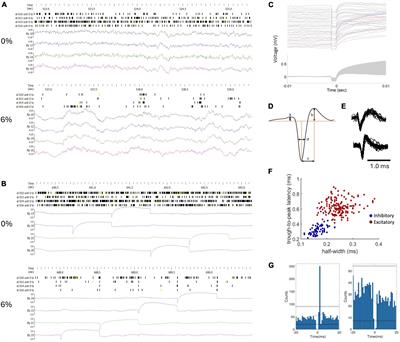 Microstimulation reveals anesthetic state-dependent effective connectivity of neurons in cerebral cortex